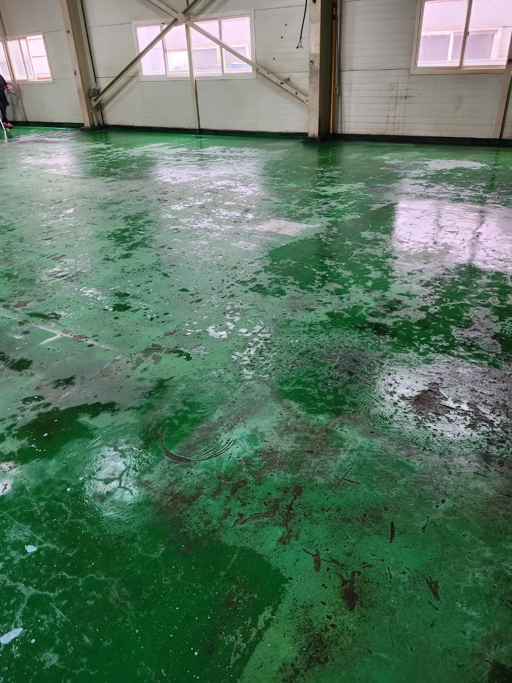 양구군 공장청소 시공 현장 — 에폭시 바닥 세정