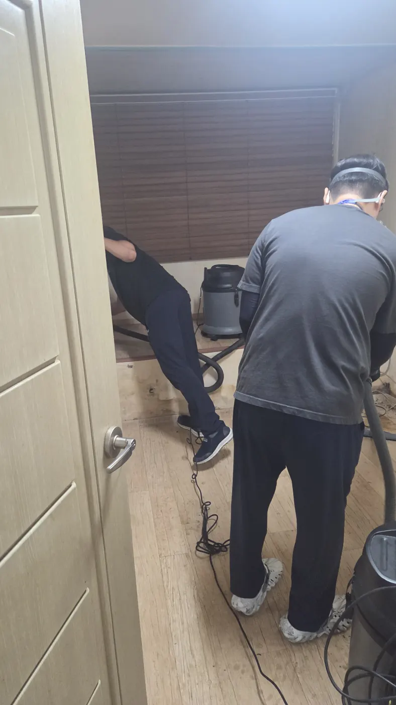 오염 제거 — 강원특별자치도 침수청소 현장