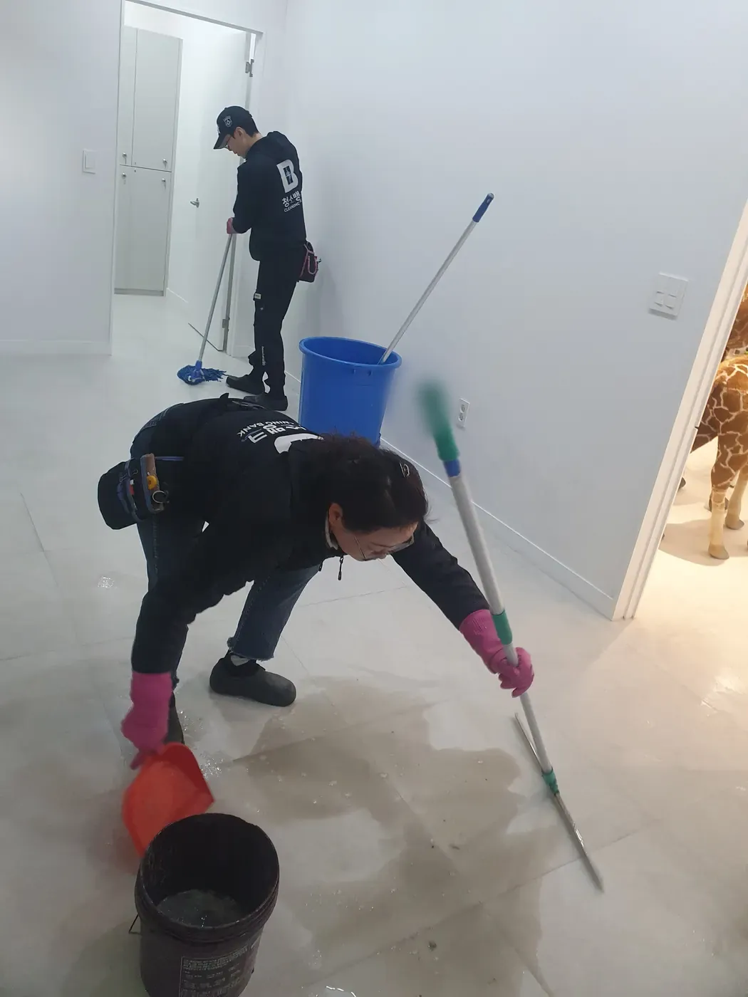 바닥 물걸레 마감 — 화천군 병원청소 현장